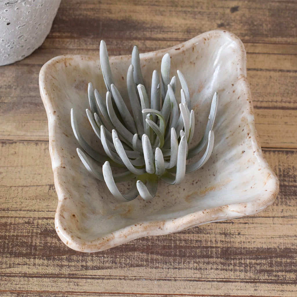 Square Snack Bowl-Dogwood - TheMississippiGiftCompany.com